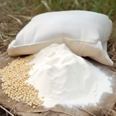 Anti-Wrinkle Natural Protein Supplement Soy Extract Bulk Soy Peptide Powder