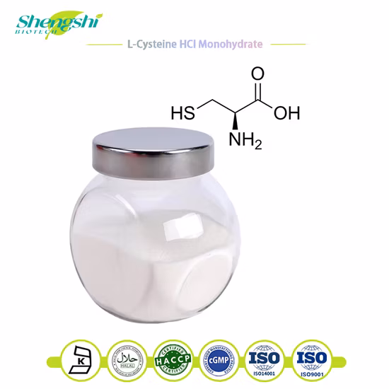 卸売化粧品グレードの高純度クレアチン一水和物 CAS 6020-87-7