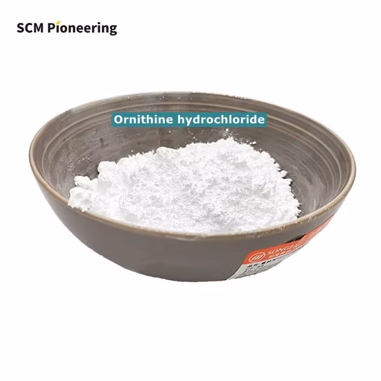 クレアチン粉末/クレアチン一水和物サプリメント粉末/白色結晶粉末/高品質/良い価格/工場卸売/エタノールに不溶