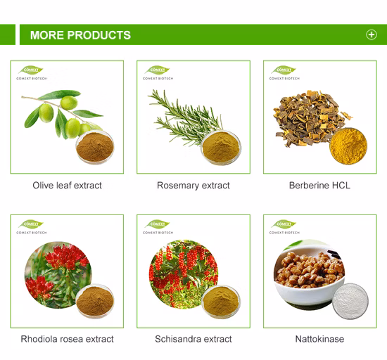 天然植物エキス クコエキス